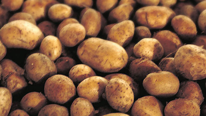 Potato Lover's Month