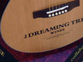 Dreaming Tree Guitar Display