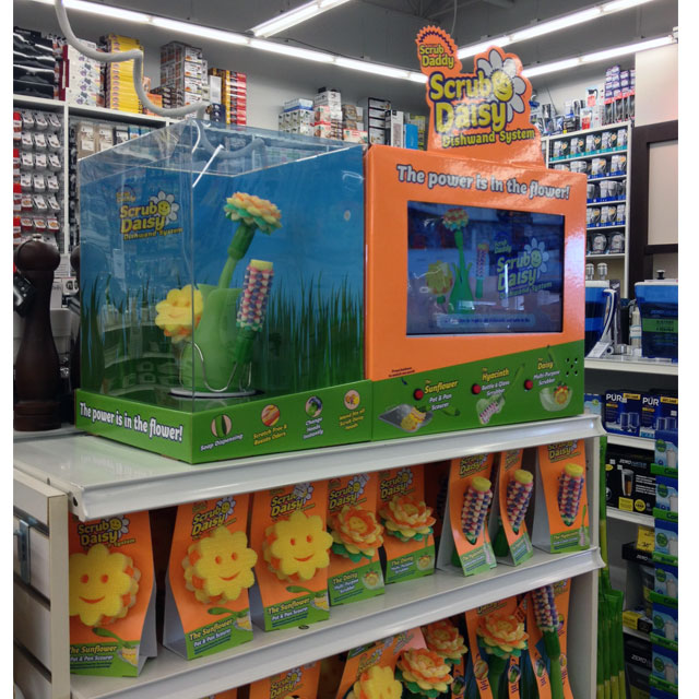 Scrub Daisy End Cap Display