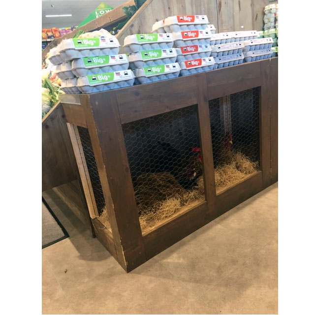 Chicken Coop Display