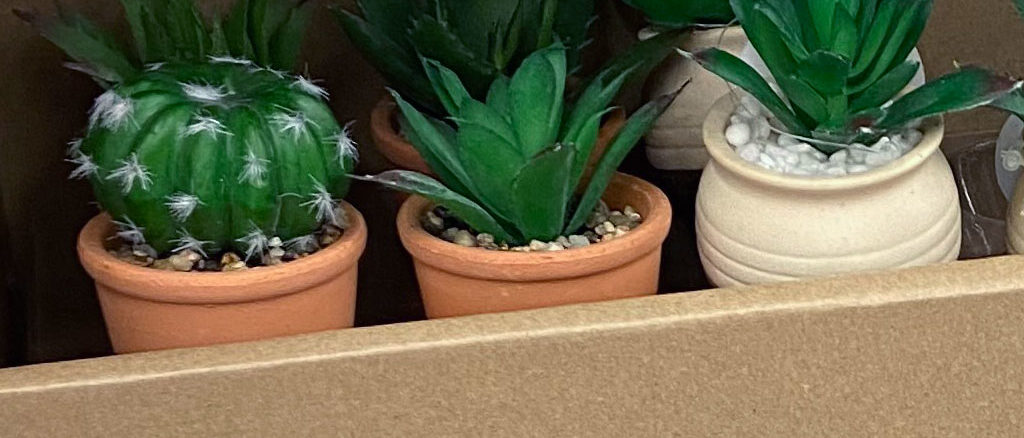 Succulents Side Kick Display