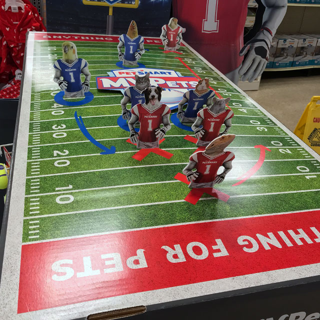 Petsmart nfl outlet gear