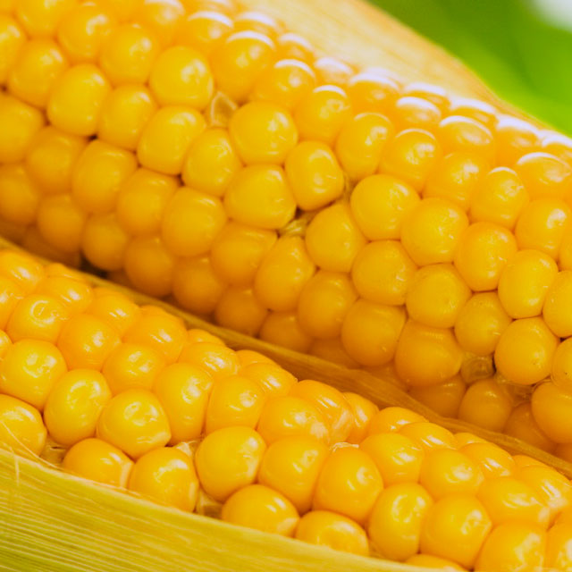 Corn