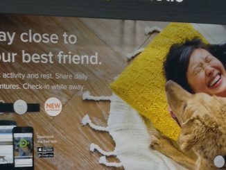 Petco