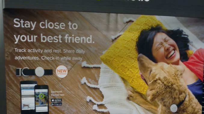 Petco